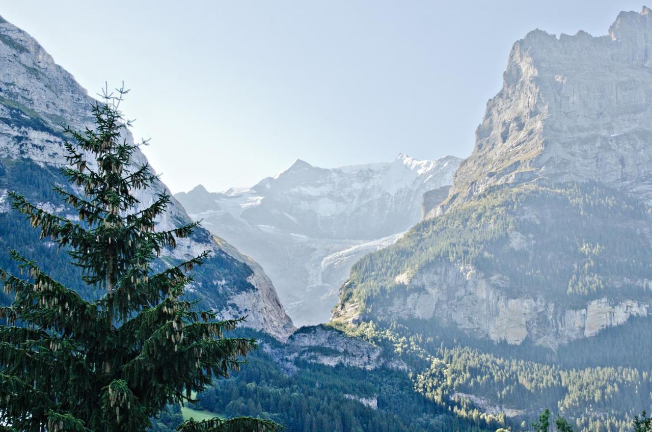 Apartment Felix - Griwa Rent Ag Grindelwald Exterior photo